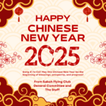 Happy Chinese New year 2025!